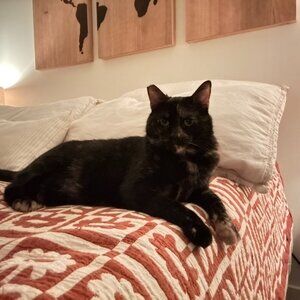 Meet your Posher, Shayna